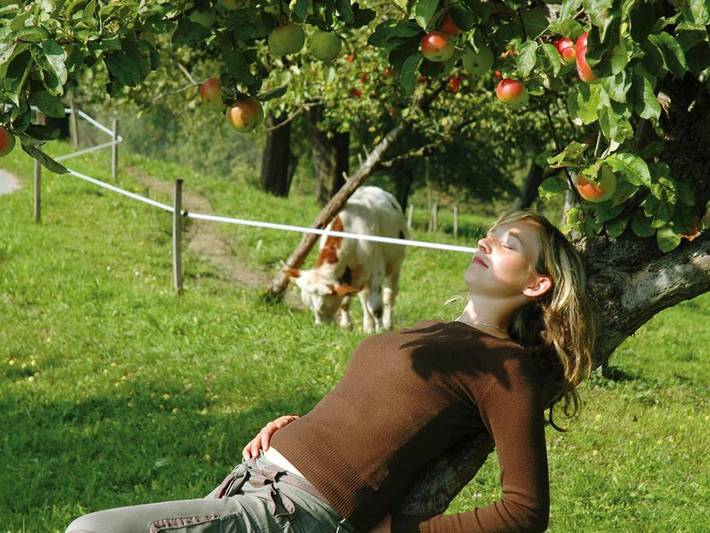 Hütte für 3 Personen, mit Garten und Terrasse in Niederösterreich