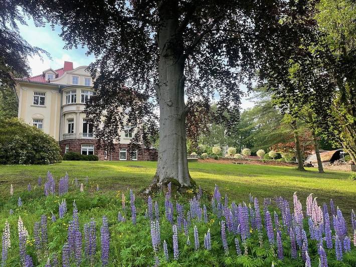 Ferienhaus für 2 Personen, mit Garten in Friedrichroda - 4