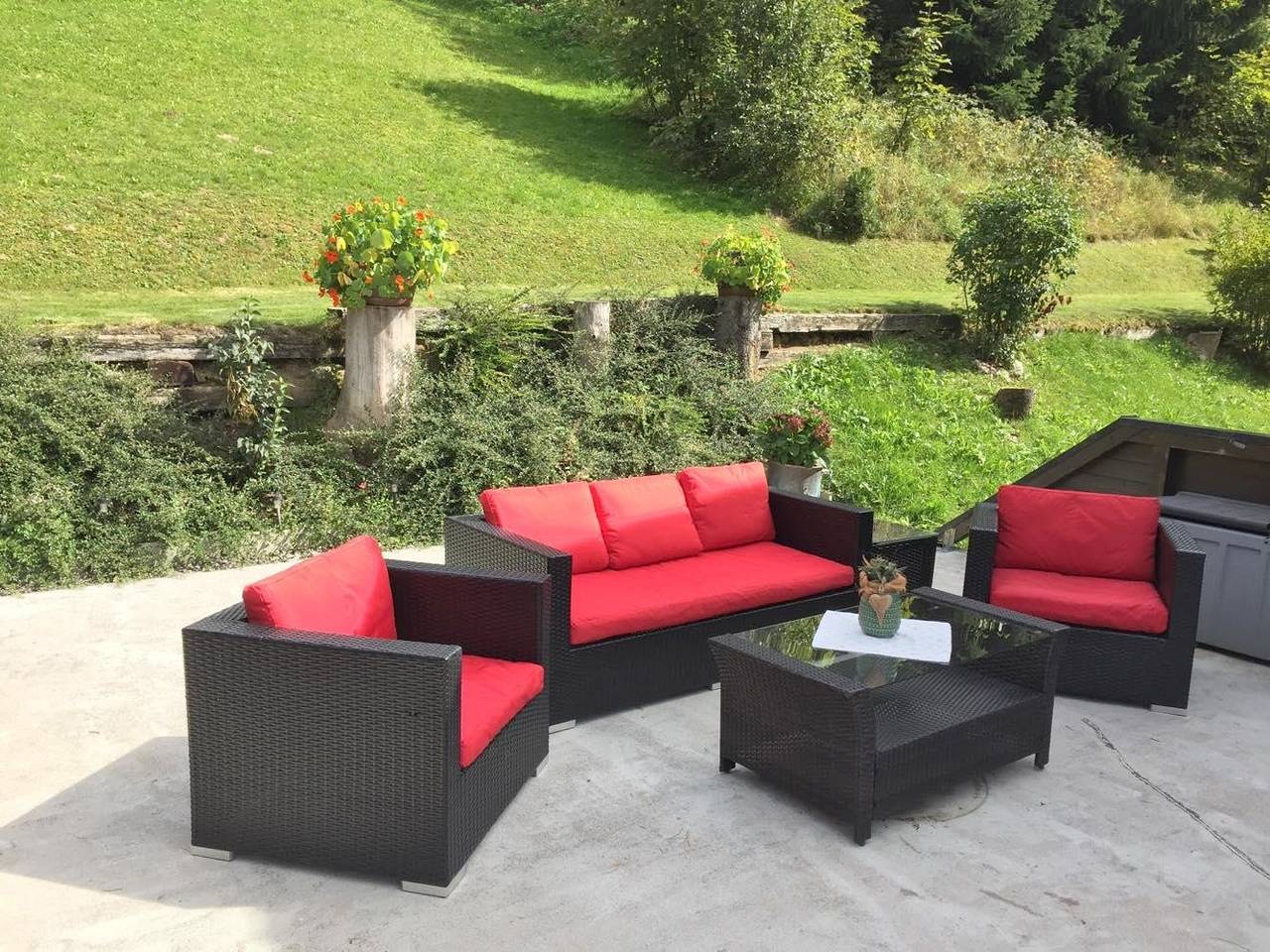 Ganze Ferienwohnung, App/2 Schlafräume/Dusche, Wc "Hochkönig" in Dienten am Hochkönig, Pinzgau