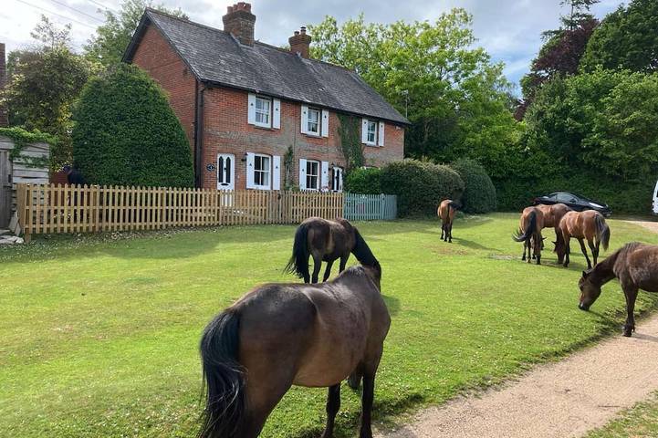 Cottage for 6 people, with Garden in Lyndhurst