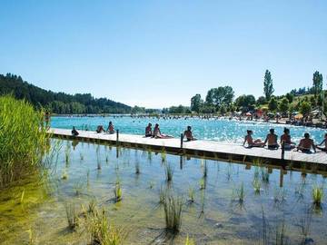Camping pour 6 personnes, animaux acceptés dans la Loire