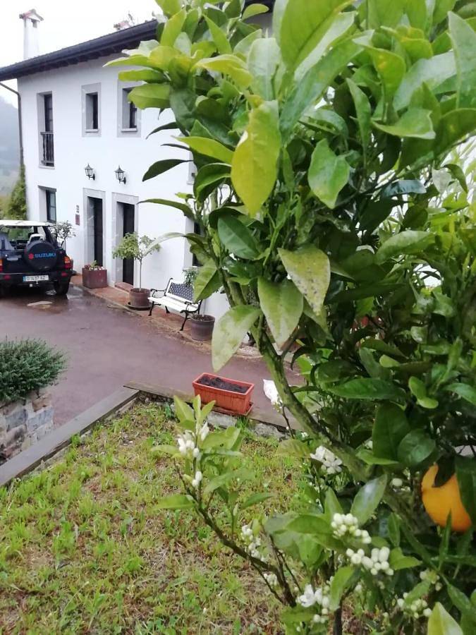 Casa rural para 4 personas, con vistas y jardín, Familias con niños en Villaviciosa  - 3