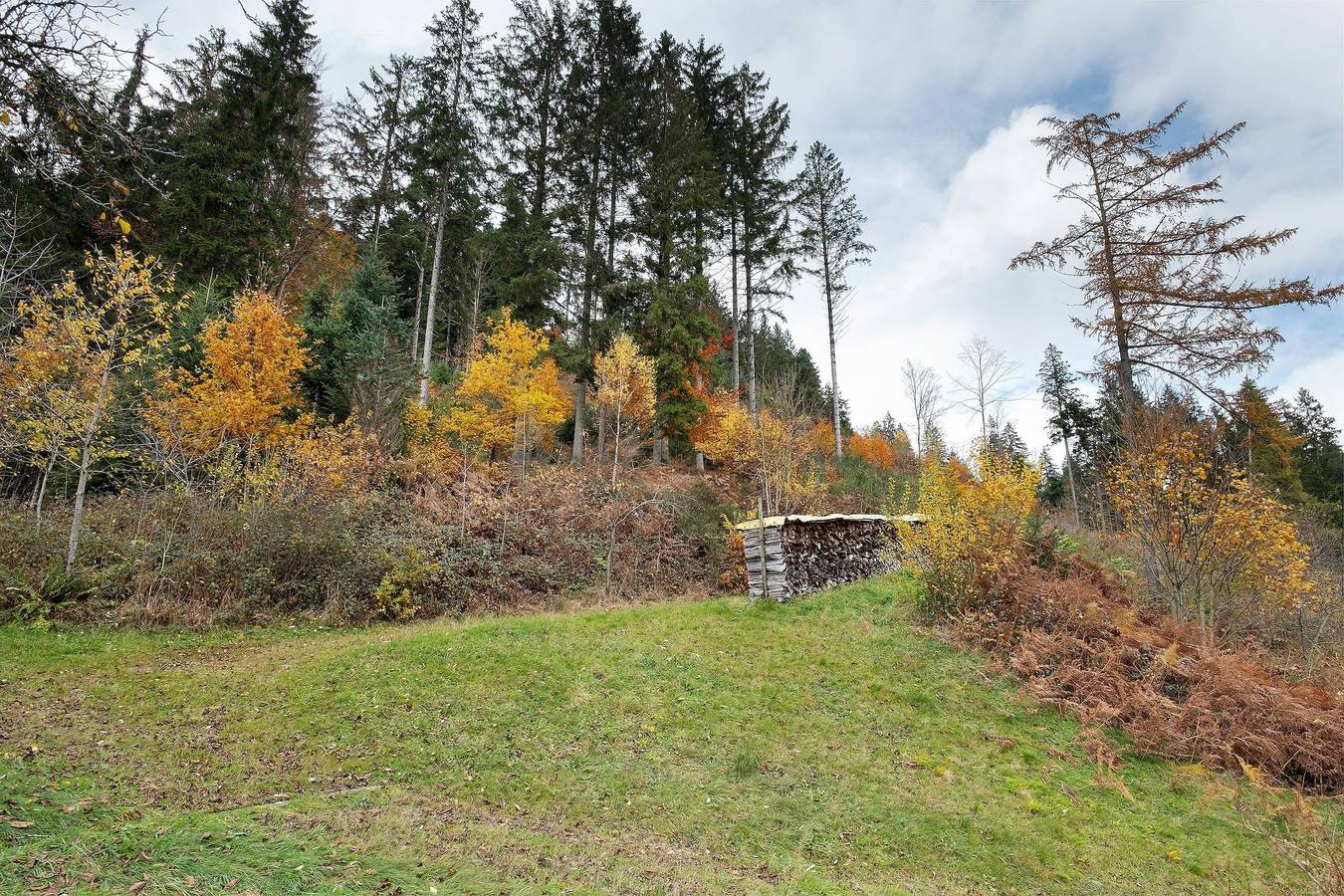 Ganze Wohnung, Ferienwohnung 'Waldblick, 50 Qm' mit Gemeinschaftsgarten, Balkon und Wi-Fi in Bad Rippoldsau-Schapbach, Mittlerer Schwarzwald