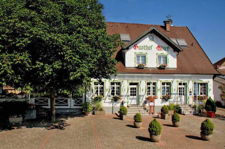 Hotel, mit Terrasse in Markgraeflerland - 2