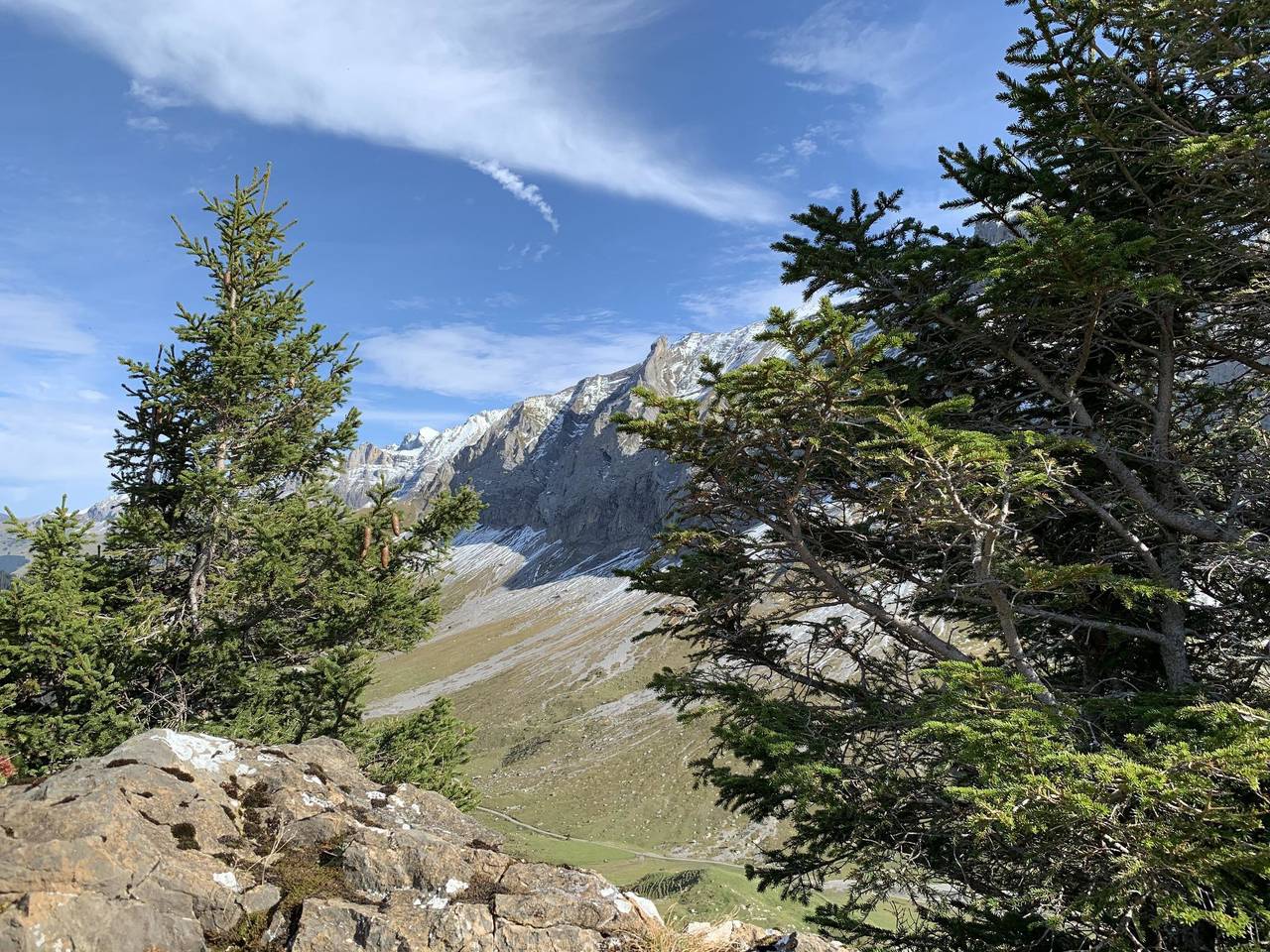 Ganze Wohnung, Meieli in Lenk, Frutigen - Lenk - Adelboden