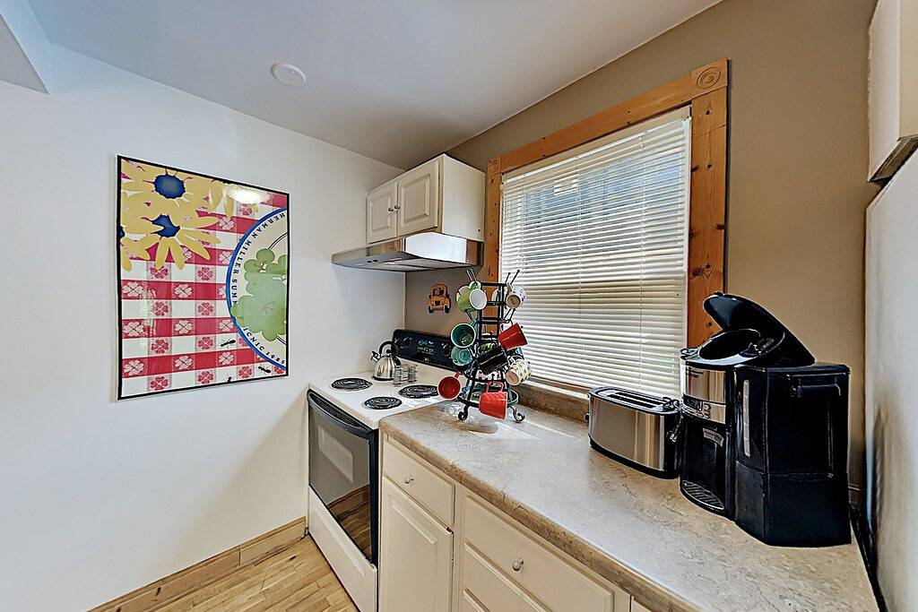 Dog-friendly downtown retreat with 2 kitchens & large fenced yards in Brevard, Transylvania County