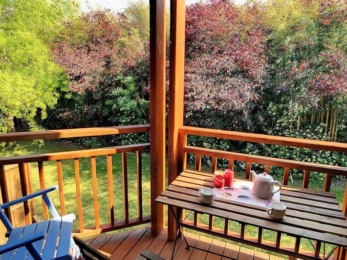 Gîte pour 4 personnes, avec piscine, animaux acceptés à Messanges - 2