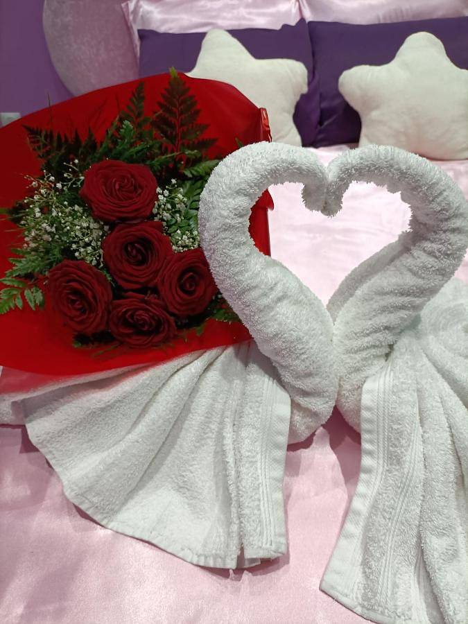 Chambre d’hôte pour 2 personnes, avec jacuzzi à Castelnaudary - 4