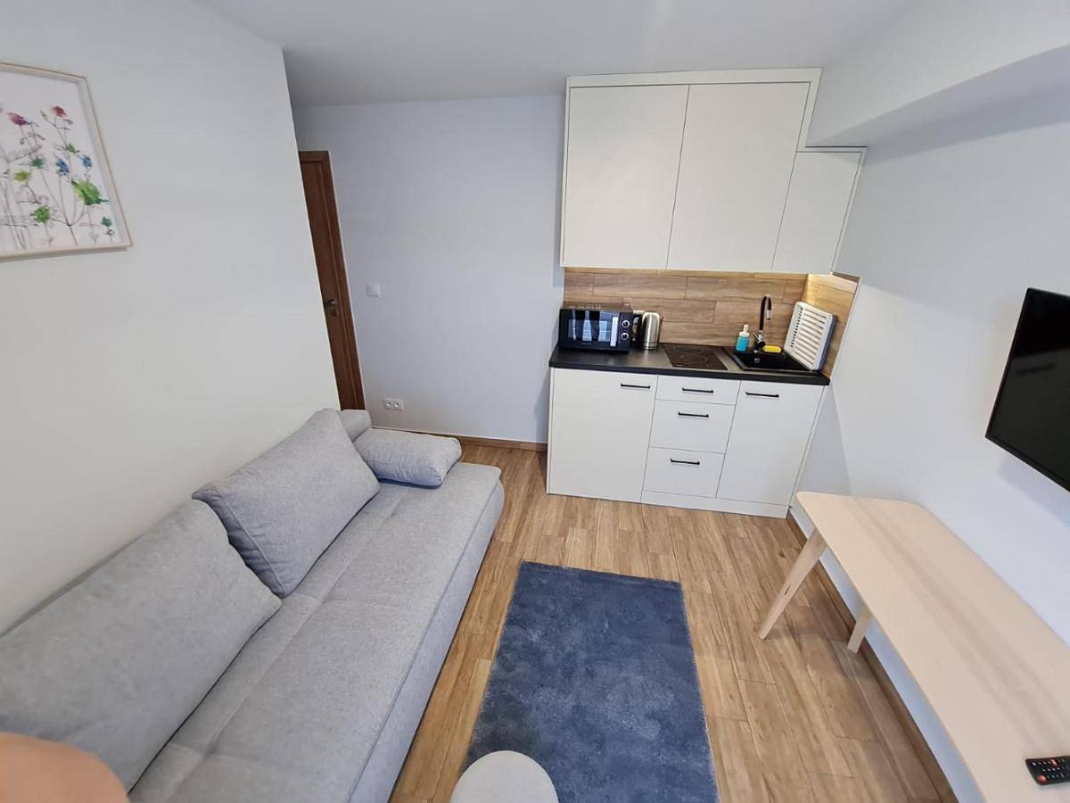 Cały apartament, Apartment - Ground Floor in Wadowice, Małopolska