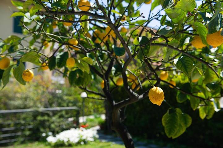 Location de vacances pour 2 personnes, avec sauna ainsi que vue et jardin à Fano - 4