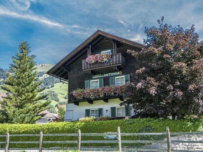 Im Ferienhaus Antonia in Hohe Tauern, Dorfgastein