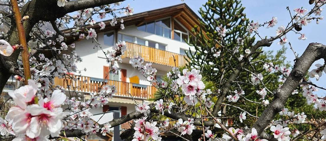 Room 'Ba Ins' with Mountain View, Shared Pool and Wi-Fi in Naturns, Texel Group