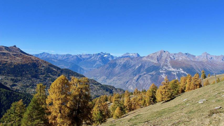 Vakantiewoning voor 14 personen, met sauna en balkon in Nendaz