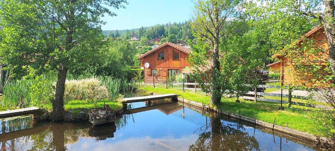 Chalet pour 8 personnes, avec Terrasse dans Lac de Gérardmer