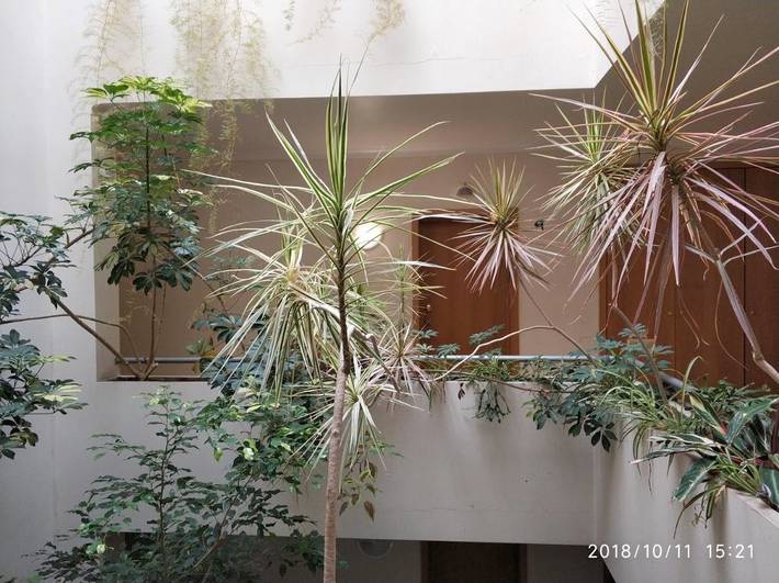 Gîte pour 5 personnes, avec vue et balcon à Buarcos - 2