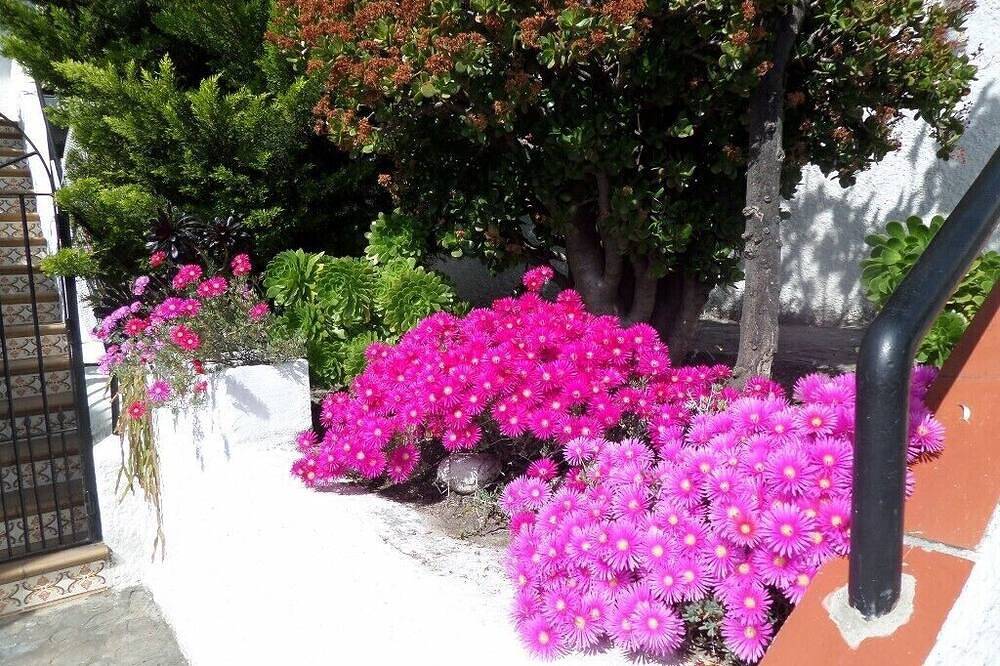Entire apartment, Apartment in a beautiful, quiet location with stunning panoramic views across the sea in Velilla-Taramay, Almuñecar