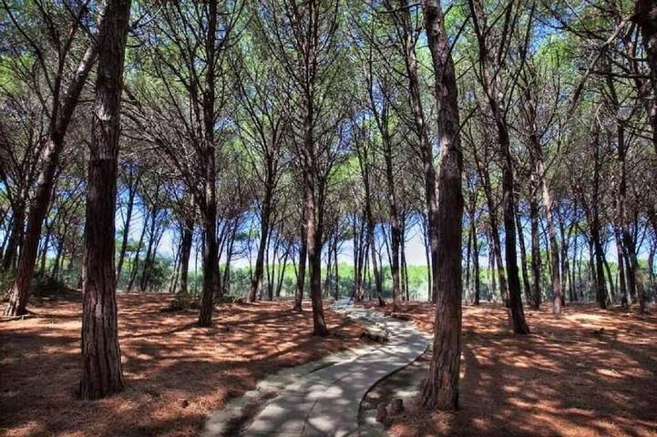 Apartamento de vacaciones para 4 personas - 1