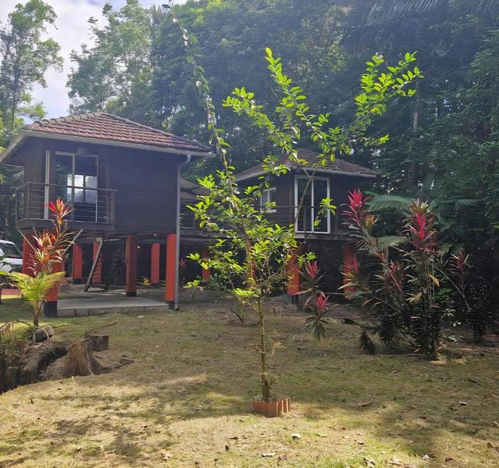 Gîte pour 14 personnes, avec vue et jardin, animaux acceptés à Roura - 4
