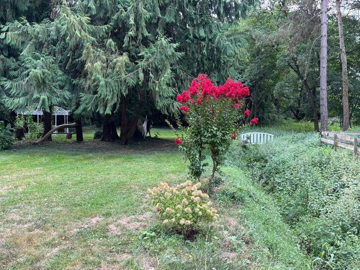 Chambre d’hôte pour 2 personnes, avec terrasse ainsi que jardin et vue à Nazelles-Négron - 3