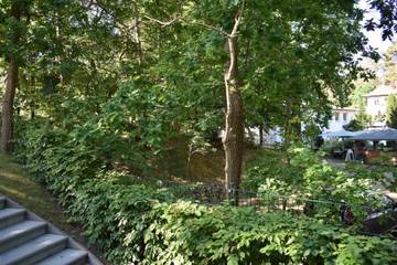 Vakantiewoning voor 3 Personen in Baabe, Rügen, Afbeelding 2