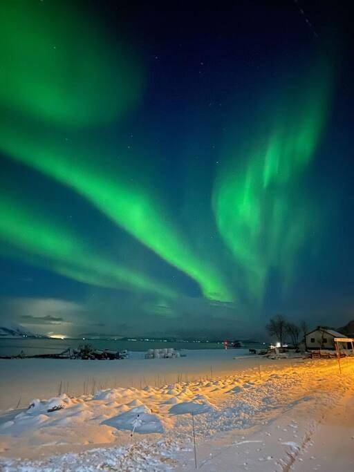 Ferienhaus für 6 Personen, mit Garten und Ausblick, mit Haustier in Vesterålen - 2