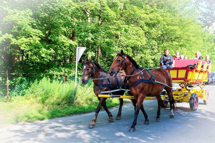 Ferienwohnung für 3 Personen, mit Ausblick und Balkon in Sahlenburg - 2