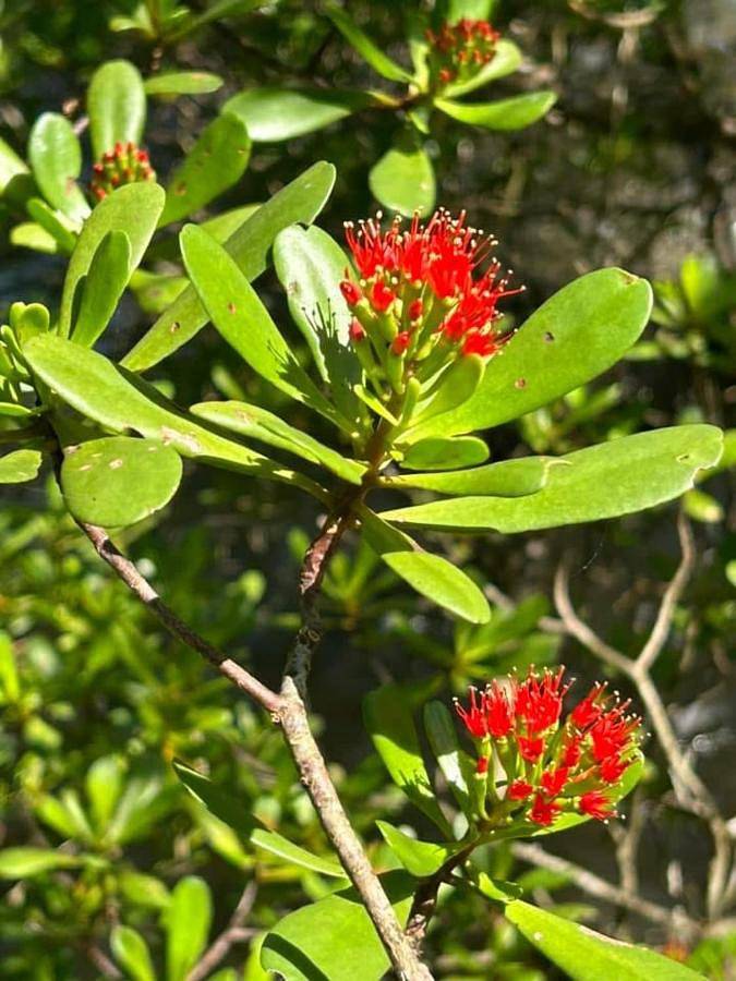 Maison d’hôte pour 2 personnes, avec jardin et vue dans Koh Chang - 4