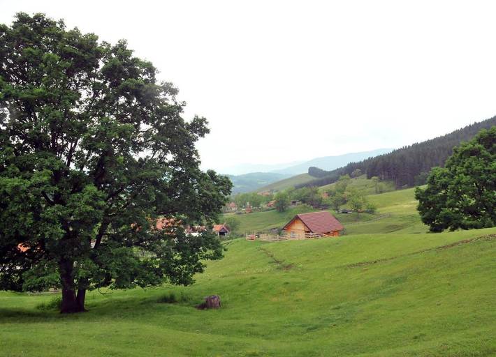 Gîte pour 4 personnes, avec vue et jardin, animaux acceptés à Kosjerić - 2