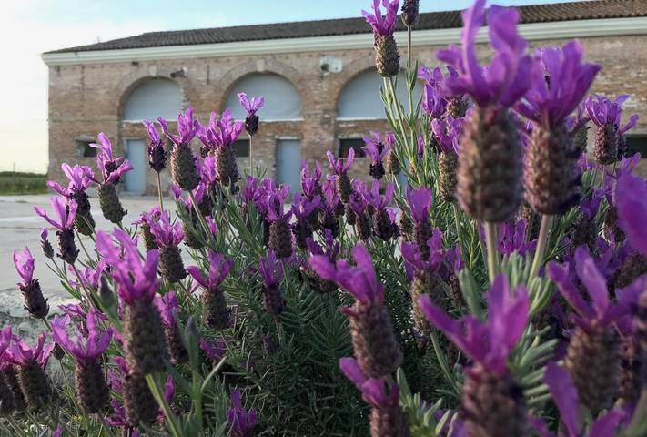 B&b per 2 persone, con Terrazza e Giardino nonché Panorama a Porto Viro