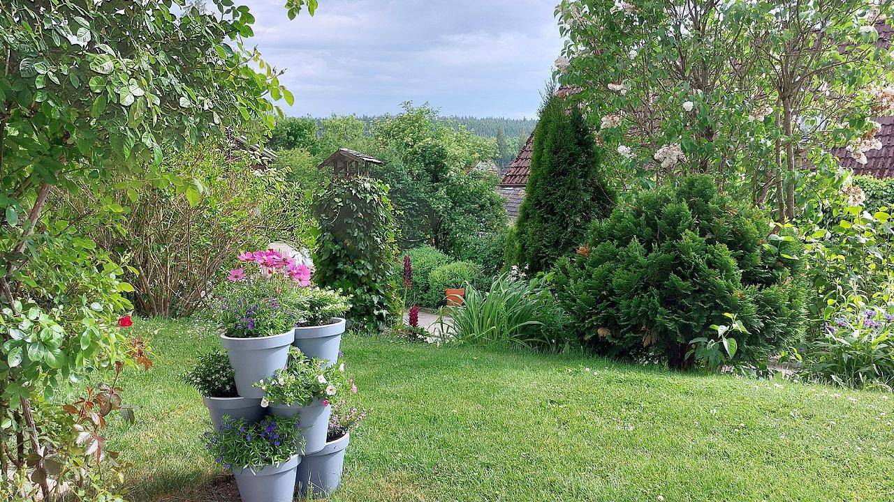 Ganze Wohnung, Appartement für 2 Personen (46 m²) in Unterkirnach in Unterkirnach, Mittlerer Schwarzwald