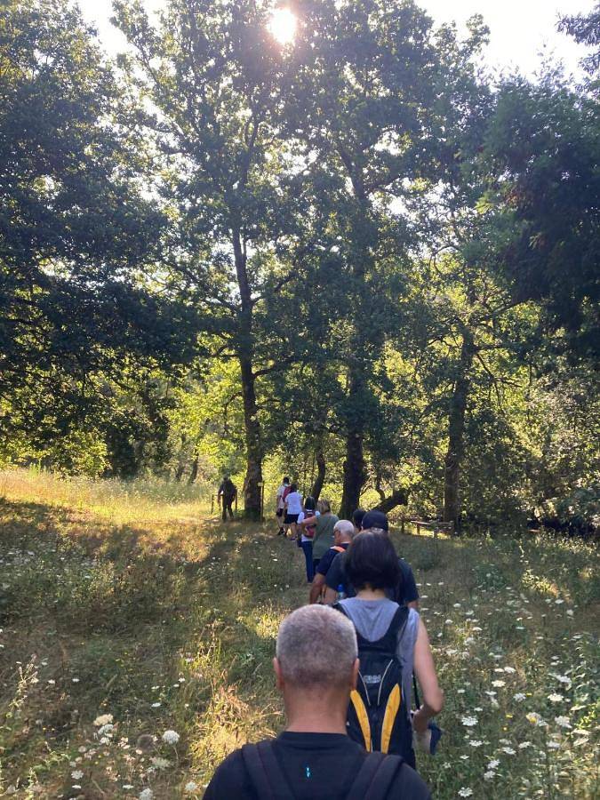 Maison de campagne pour 3 personnes, avec piscine ainsi que vue et jardin, animaux acceptés à Seia - 4
