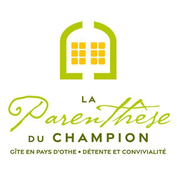 Gîte pour 11 personnes, avec piscine et jardin ainsi que jacuzzi et sauna, animaux acceptés dans Bœurs-en-Othe