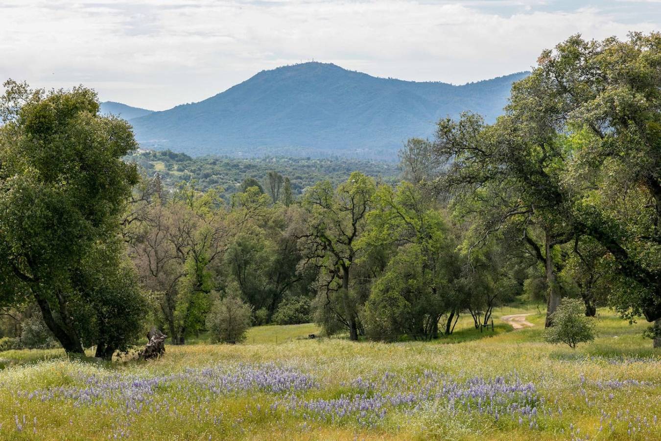 Serene Family Retreat with Hottub by Casa Oso in Madera County
