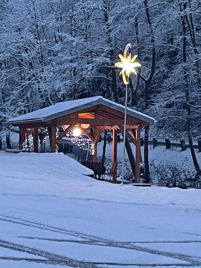 Ferienwohnung für 5 Personen, mit Ausblick und Garten sowie Sauna in Rosenthal-Bielatal - 2