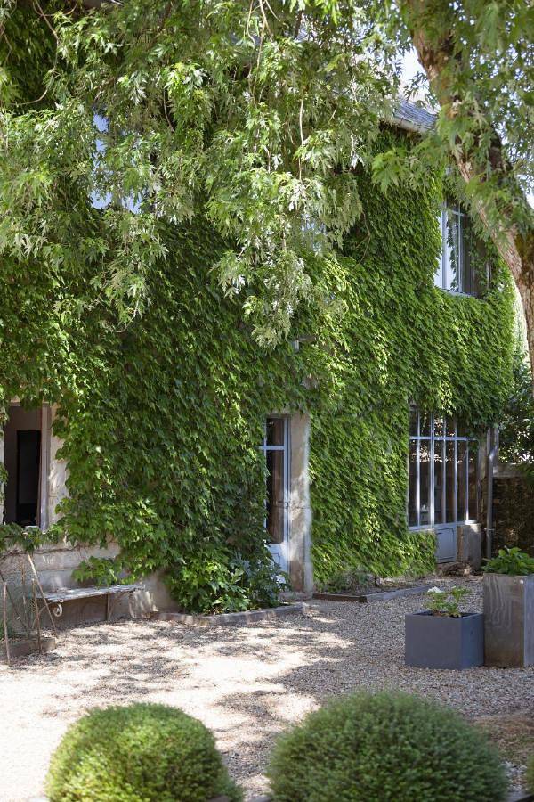 Maison d’hôte pour 2 personnes, avec vue ainsi que jardin et piscine dans Maine-et-Loire - 4