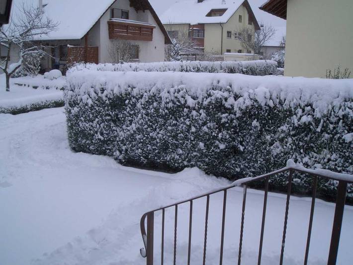 Ferienwohnung für 3 Personen, mit Garten in Lahr - 2