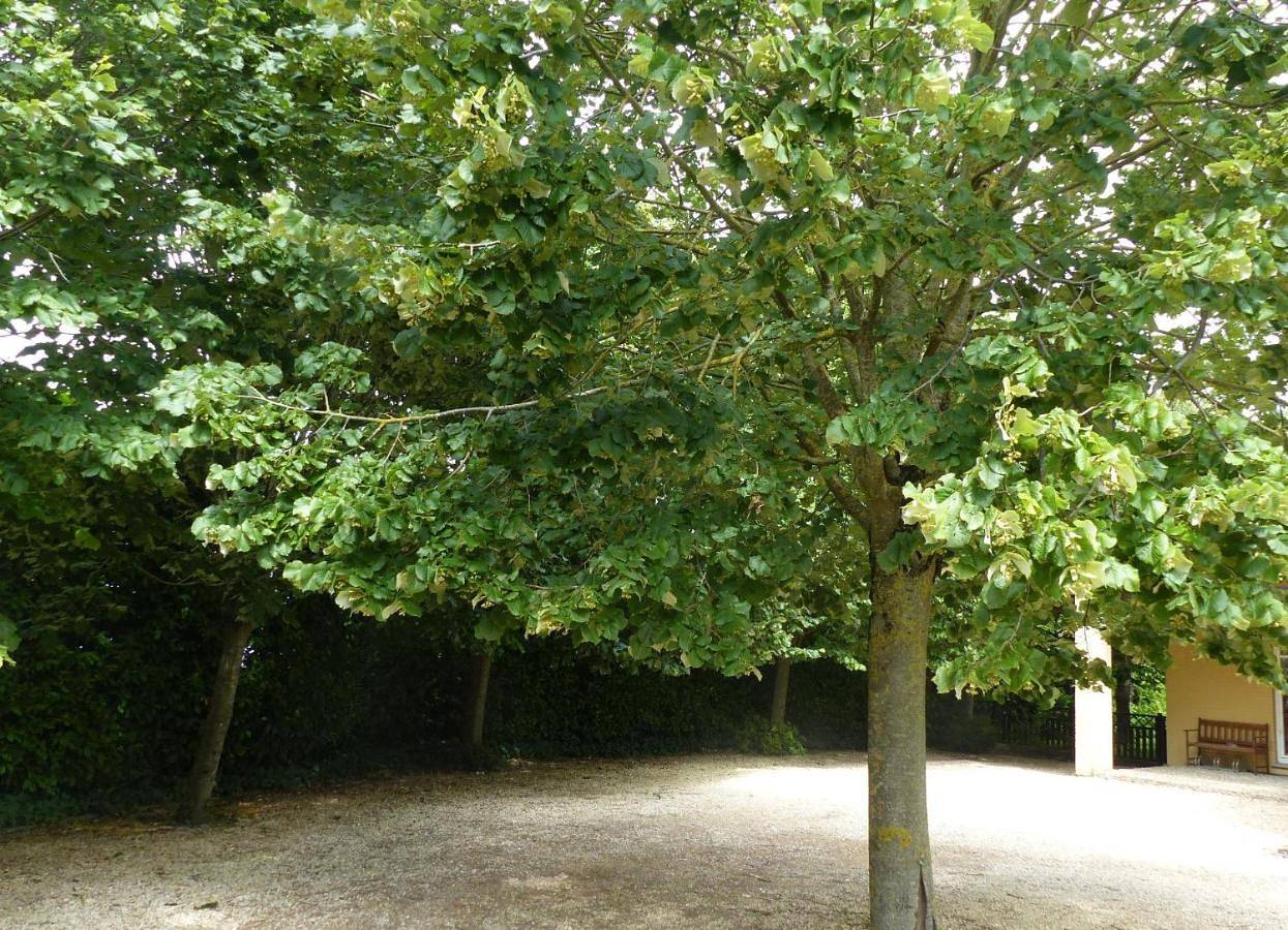 Double Room with Garden View in Bierges, Wavre