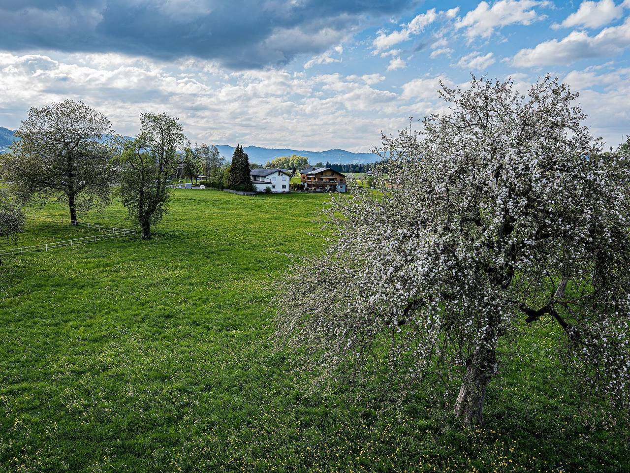 Ganze Ferienwohnung, Hof 280 - Ferienwohnungen Lingenau - Ferienwohnung Annelies in Lingenau, Bodensee-Vorarlberg