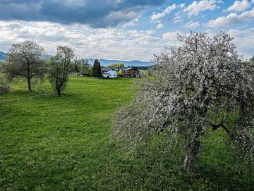 Ferienwohnung für 7 Personen in Lingenau, Allgäuer Alpen (Österreich), Bild 1