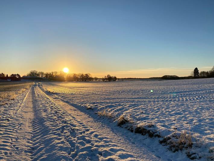 Ferienwohnung für 3 Personen, mit Terrasse und Garten sowie Sauna, mit Haustier in Bollewick - 2