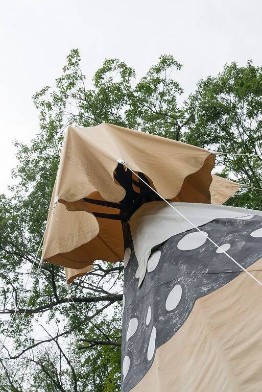 Camping for 6 people, with pets in New Hampshire