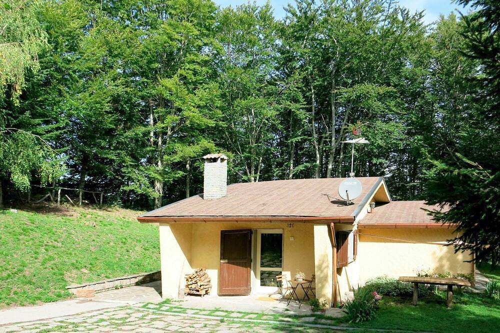 Schönes alleinstehendes Ferienhaus mit  W-Lan, Tv, Innenhof, Haustiere erlaubt und Parkplatz in San Romano in Garfagnana, Garfagnana