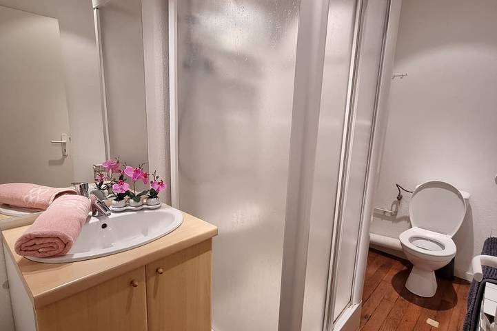 Entire apartment, Gite \"Blueberry\" of 4/6 people with Jacuzzi in Ventron, Parc naturel régional des Ballons des Vosges