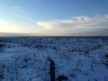 Ferienhaus für 7 Personen, mit Sauna und Terrasse sowie Garten, kinderfreundlich in Graal-Müritz