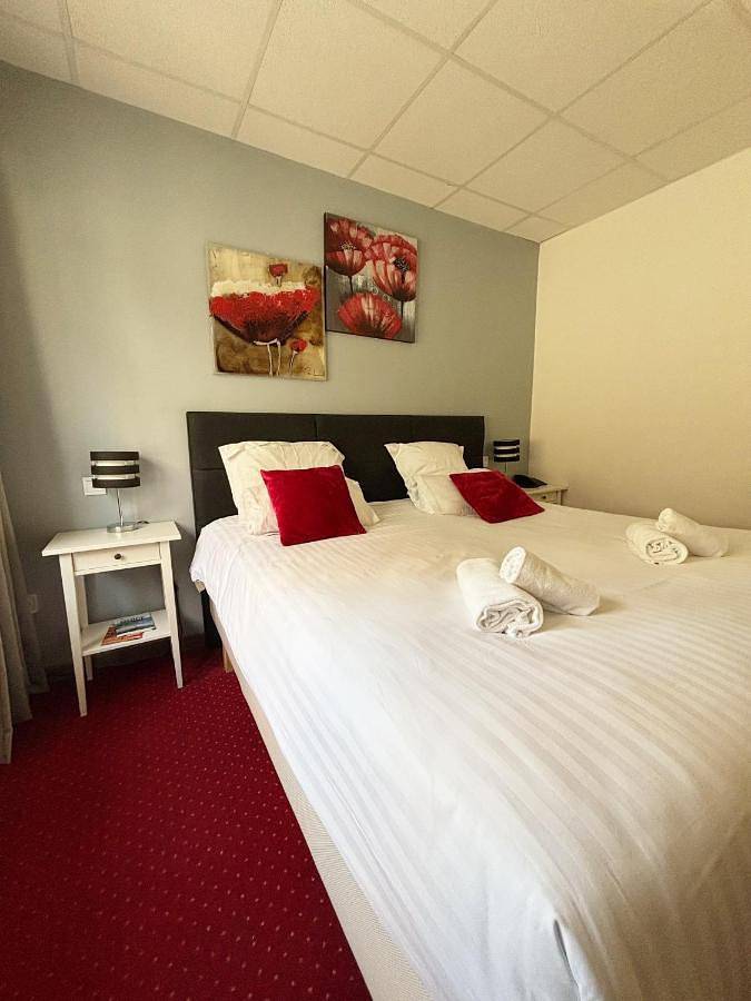 Hôtel pour 2 personnes, avec Terrasse à Divonne-les-Bains - 3
