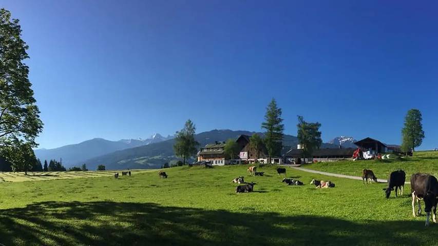 Bauernhof für 6 Personen, mit Garten in Ramsau am Dachstein