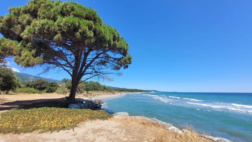 Appartement de vacances pour 4 personnes, avec vue et terrasse, animaux acceptés