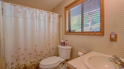 Vacation House for 6 Guests in Blue Ridge Parkway, Maggie Valley, Picture 1