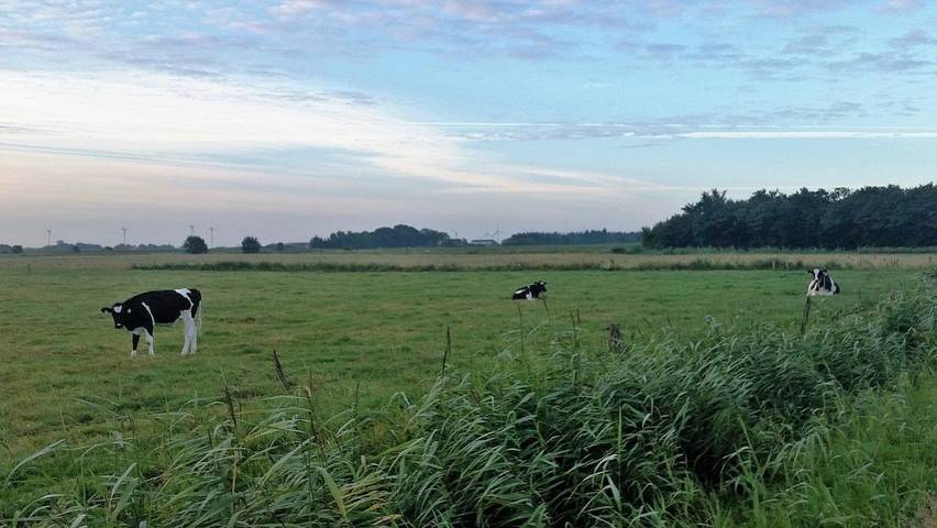 Ganze Wohnung, Ferienwohnung Diek in Humptrup für bis zu 4 Personen in Humptrup, Nordfriesland