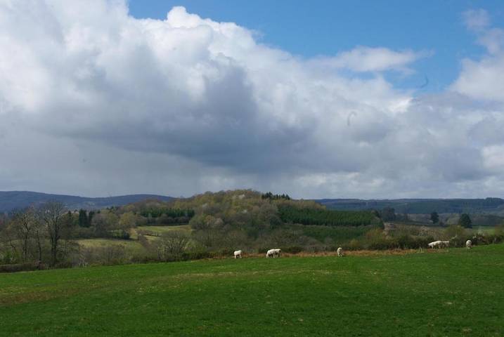 Gîte pour 3 personnes, animaux acceptés à Saulieu - 2